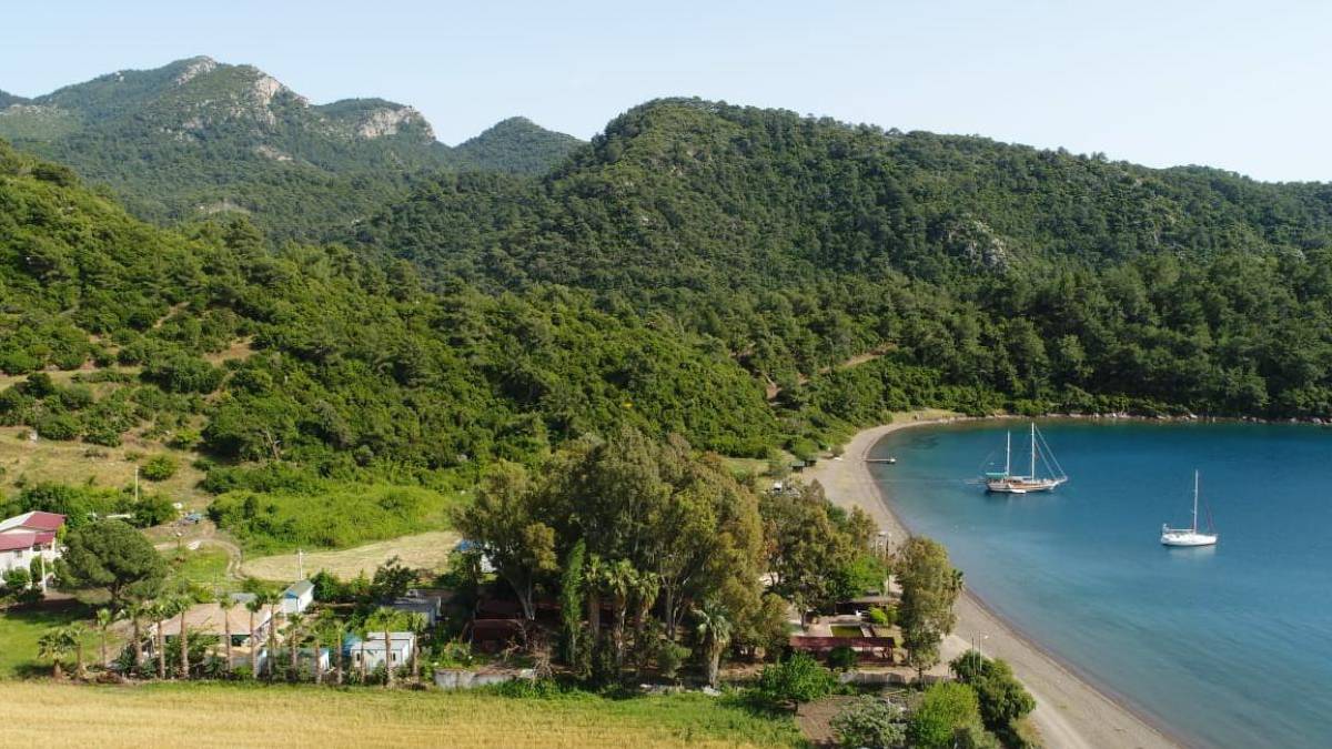 yeni-proje-2025-06-27t103127-057