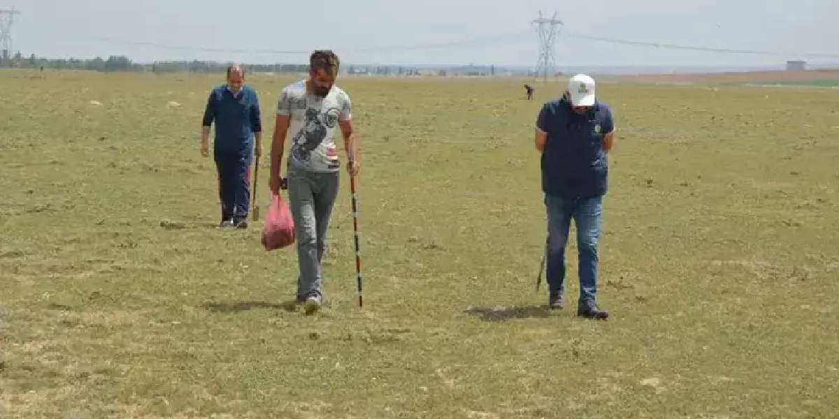 domalan-mantari-hasadi-basladi-2