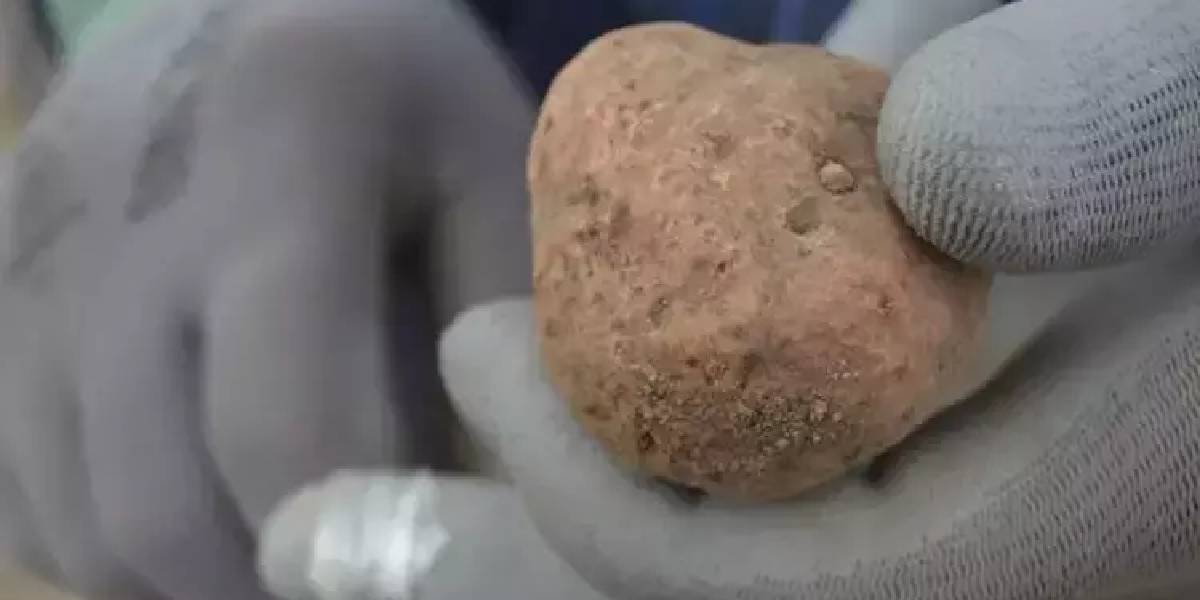 domalan-mantari-hasadi-basladi-3