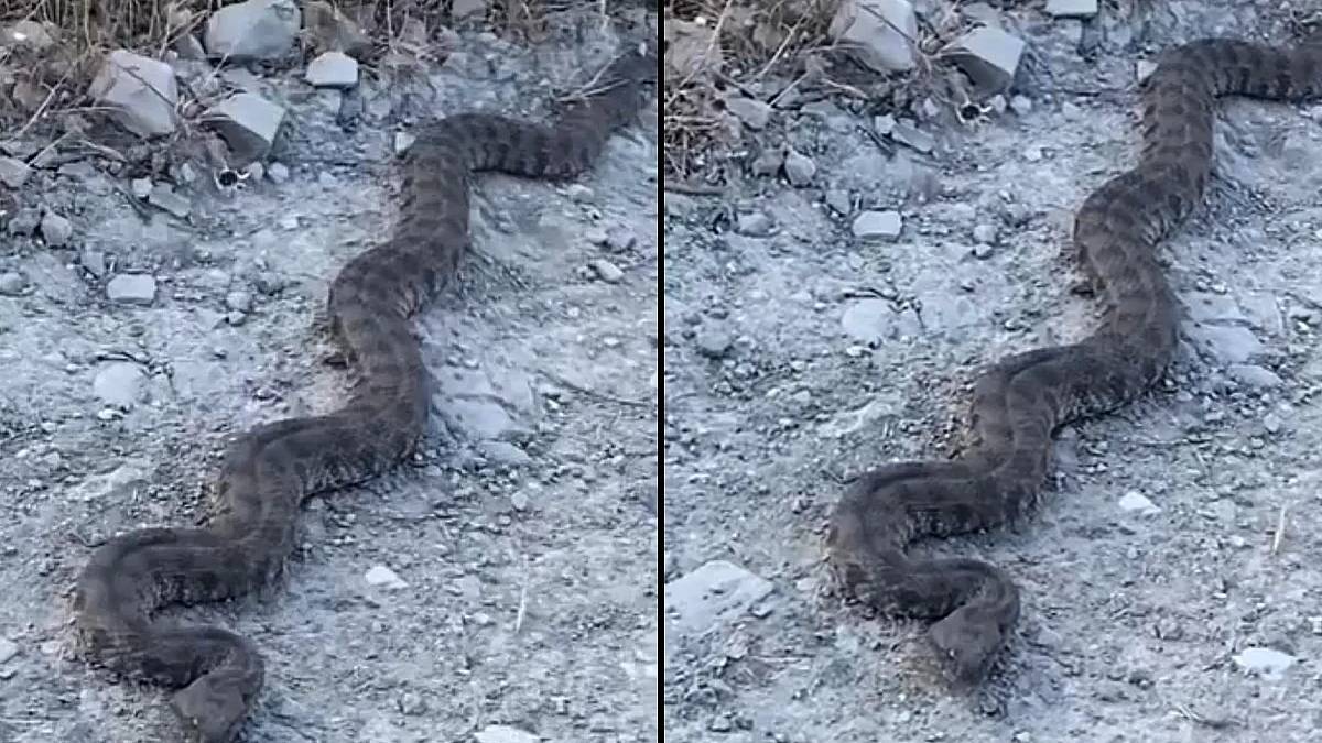 yeni-proje-2025-06-28t122630-078