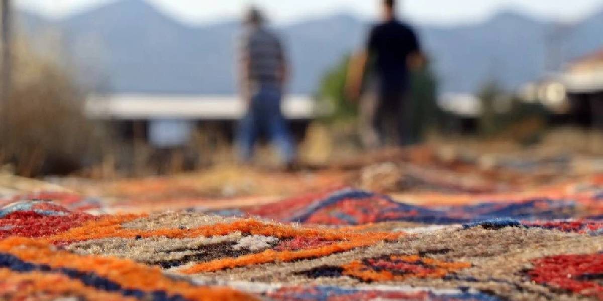 antalyada-hali-hasadi-1