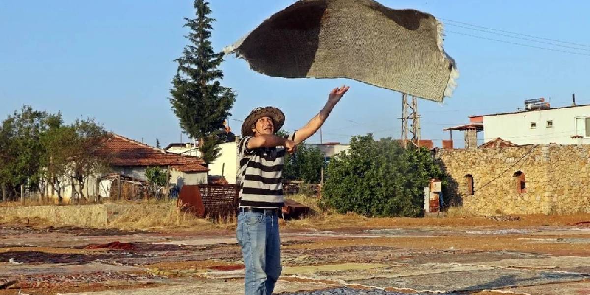 antalyada-hali-hasadi-2