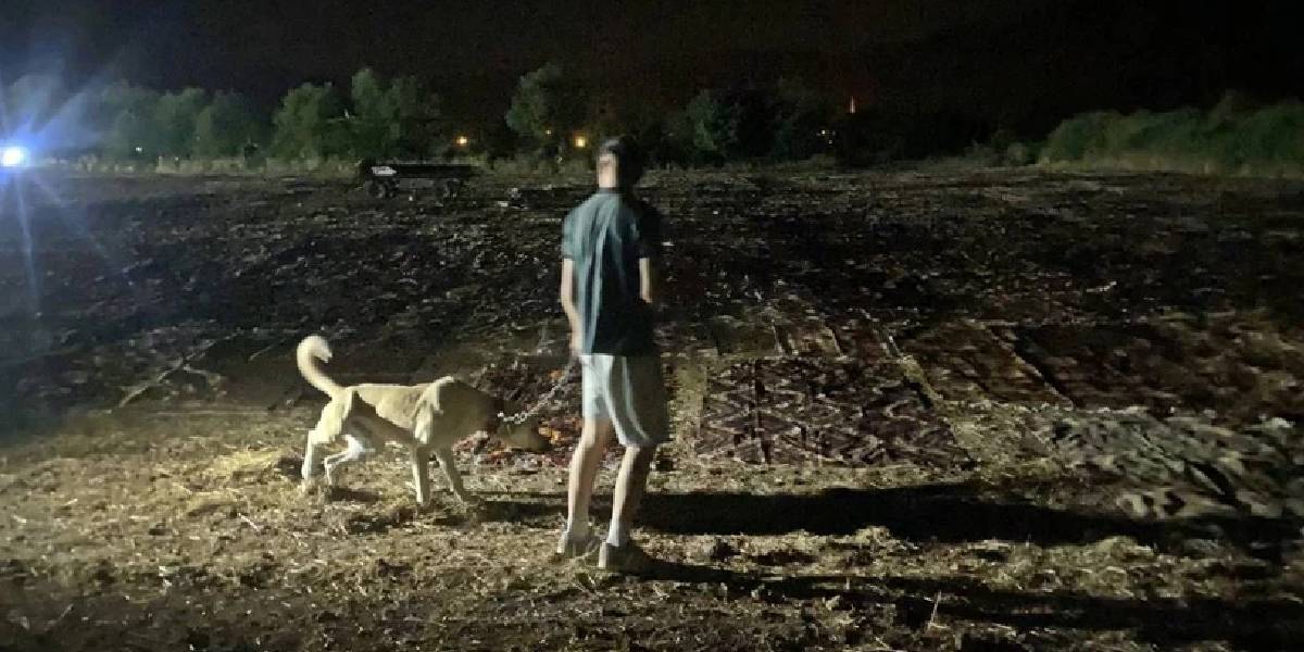 antalyada-hali-hasadi-3