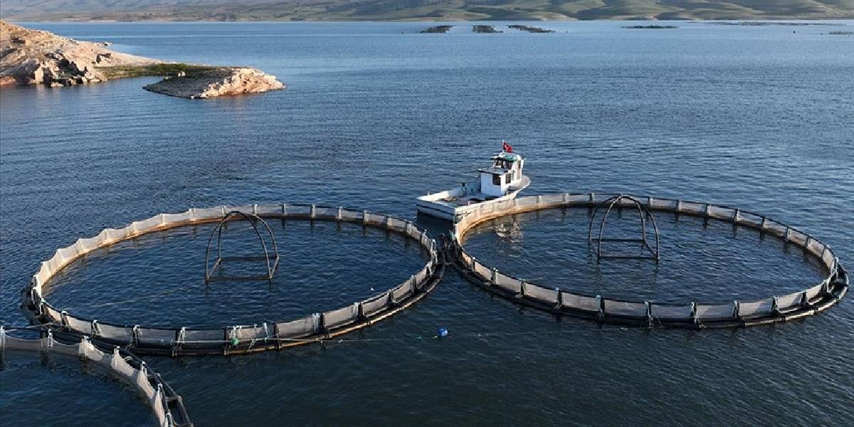 kayseride-turk-somonu-1