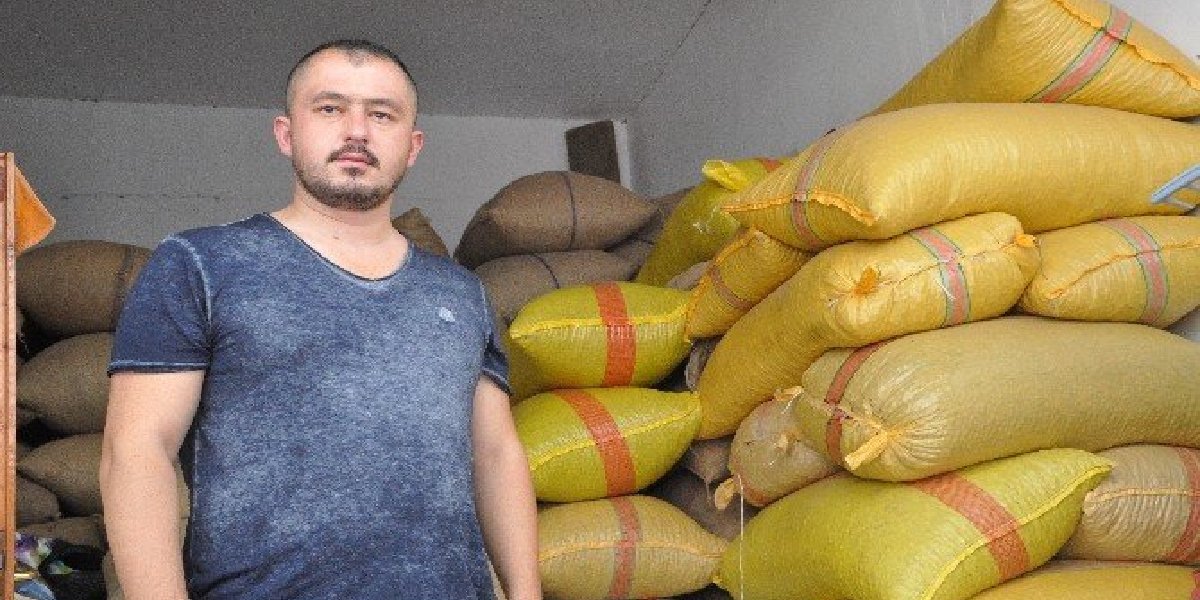 mustafa-kankaya-findik