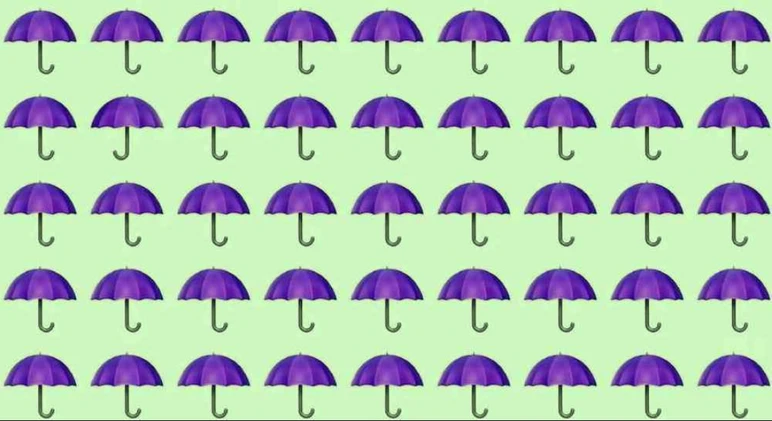 semsiye-farkli-uyen-001