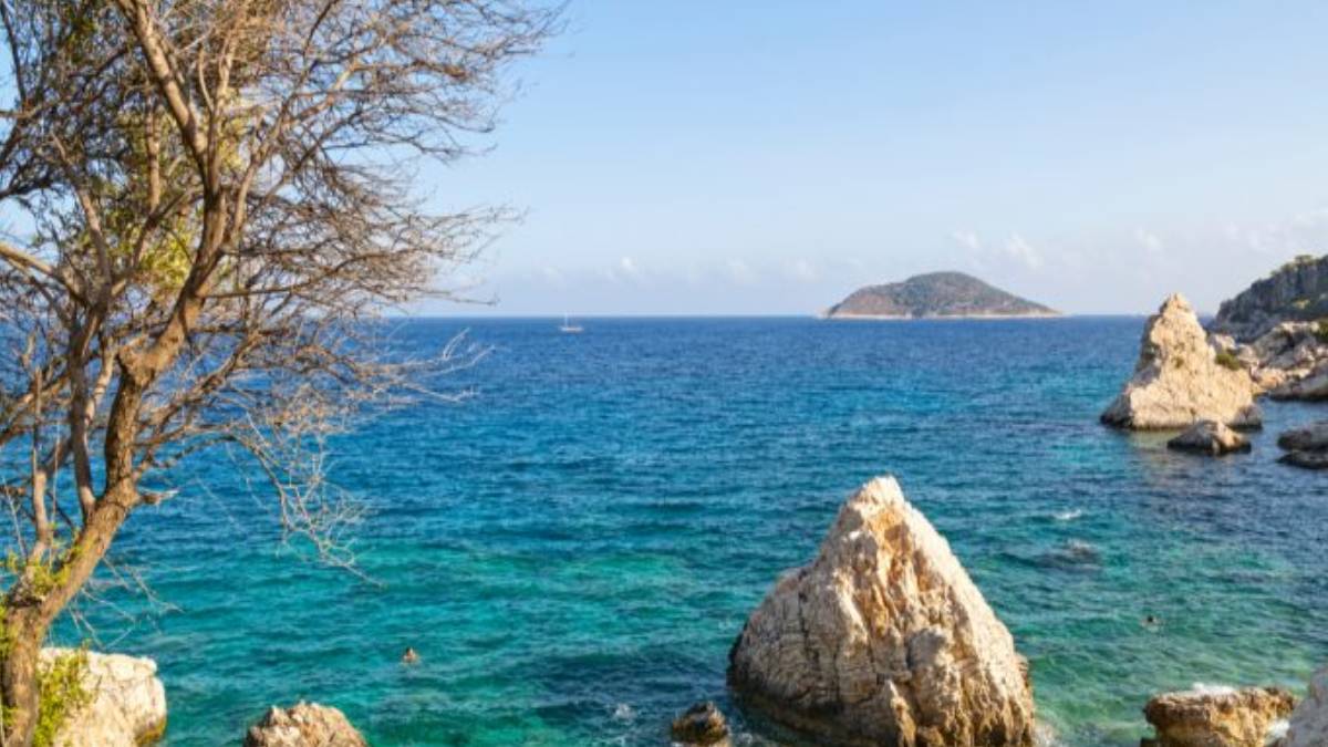 yeni-proje-2025-07-01t123551-790