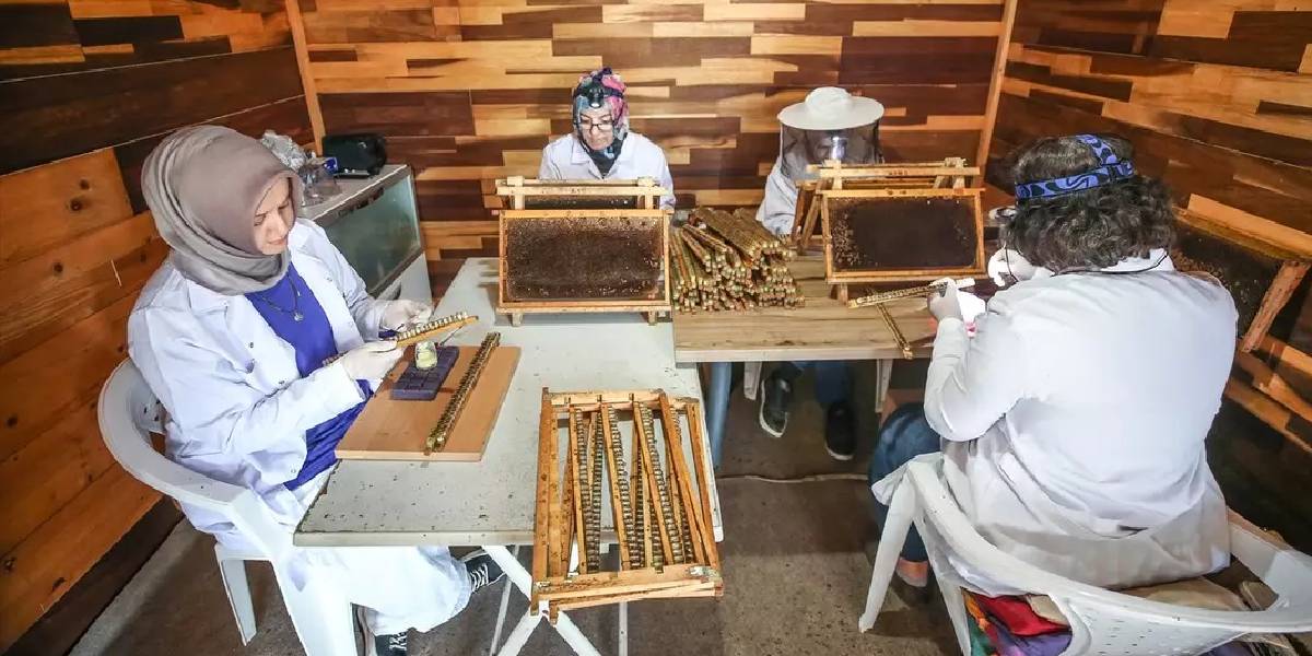 bursa-niluferde-ari-sutu-4