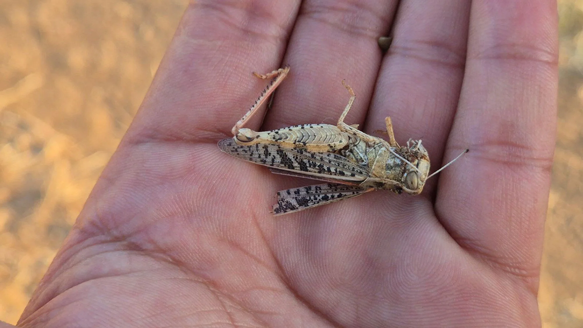 d0ea18c5-fce7-4e37-a002-0f6701afb7d6