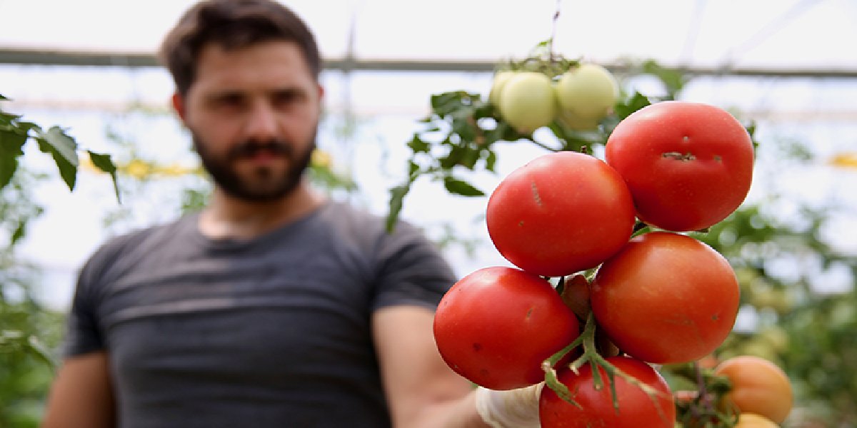 darica-volkanik-curuf