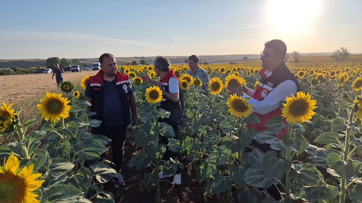 db08c111-3be0-4830-9299-4b2de8b8655d