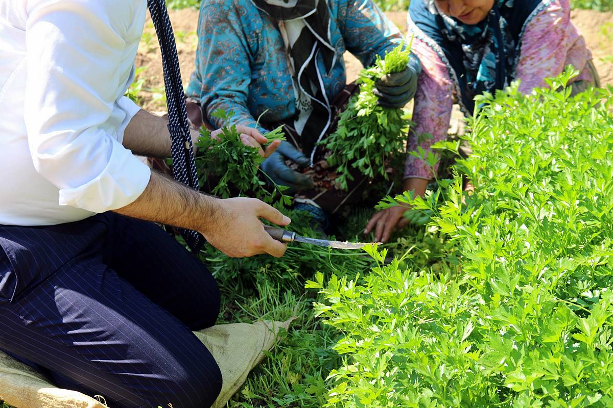 eskisehir-saricakaya-son-dakika-haberleri-2