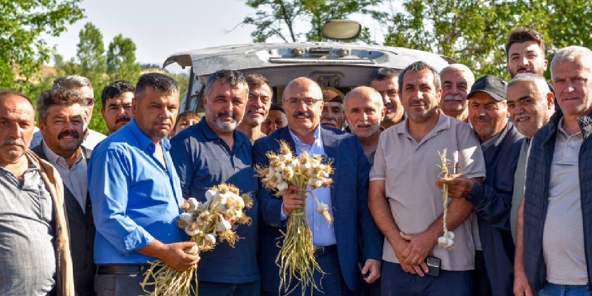 kastamonuda-taskopru-sarimsagi-hasadi-basladi-1