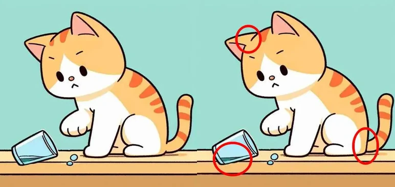 kedi-farklar-cozmek-ukvr