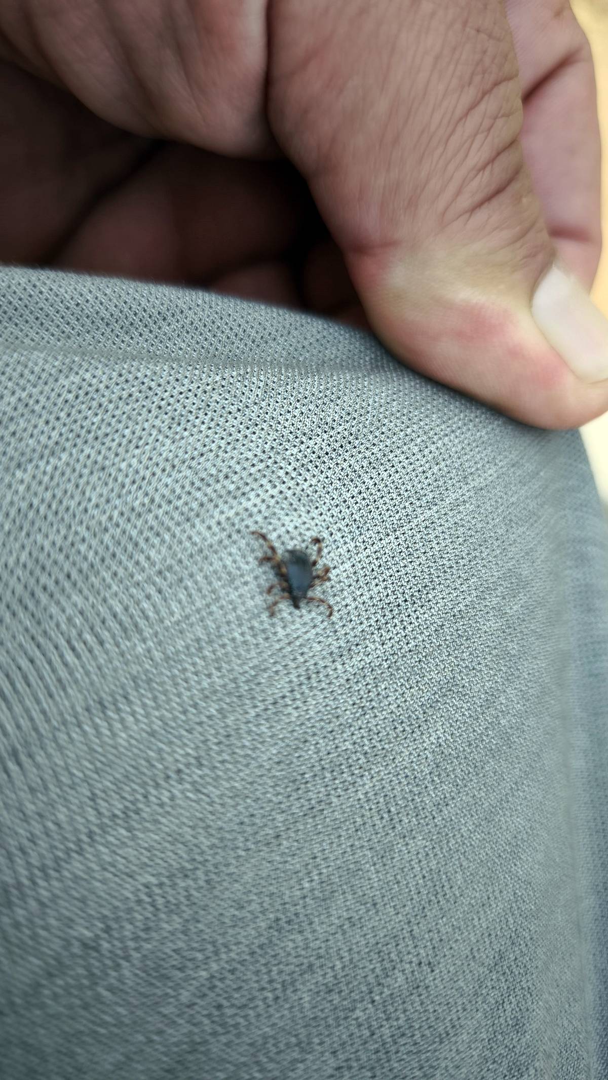 kene-isirmasinda-ne-yapilir-3