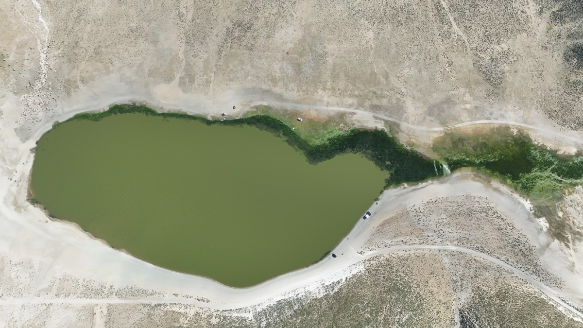 resim-2025-07-02-132749172