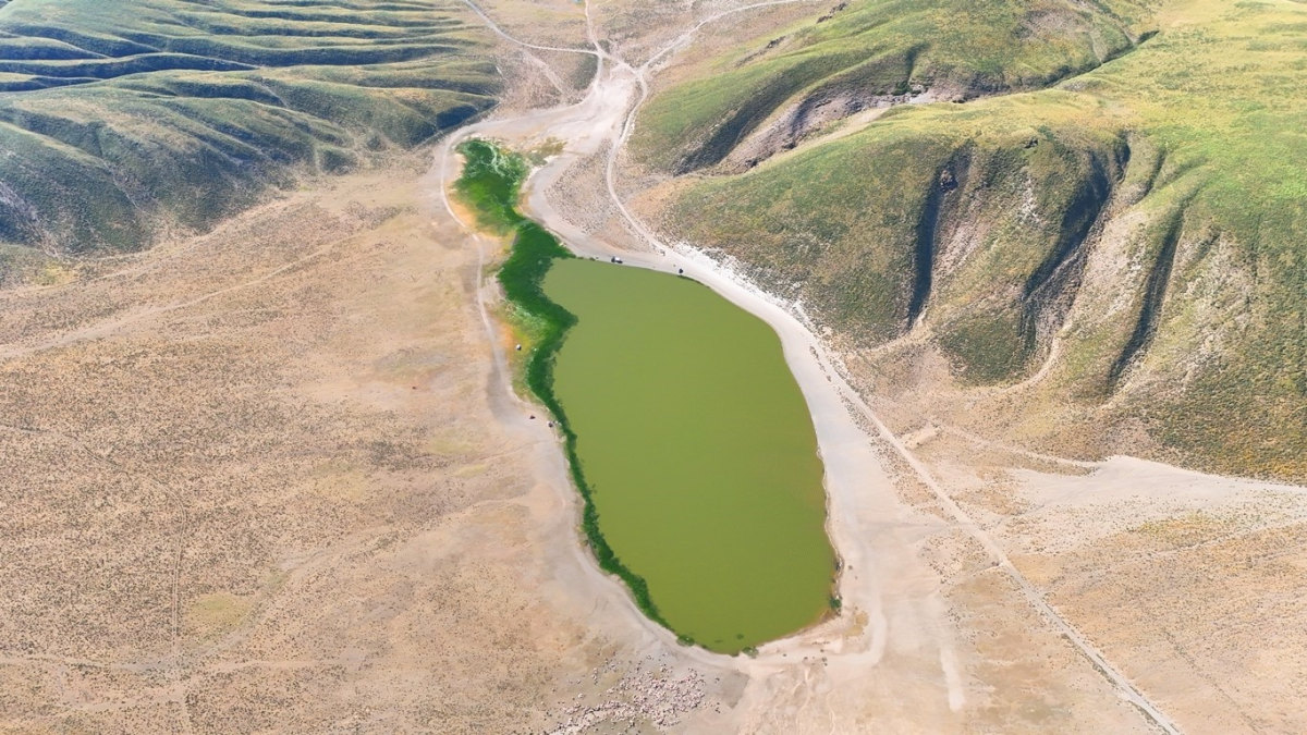 resim-2025-07-02-132802688