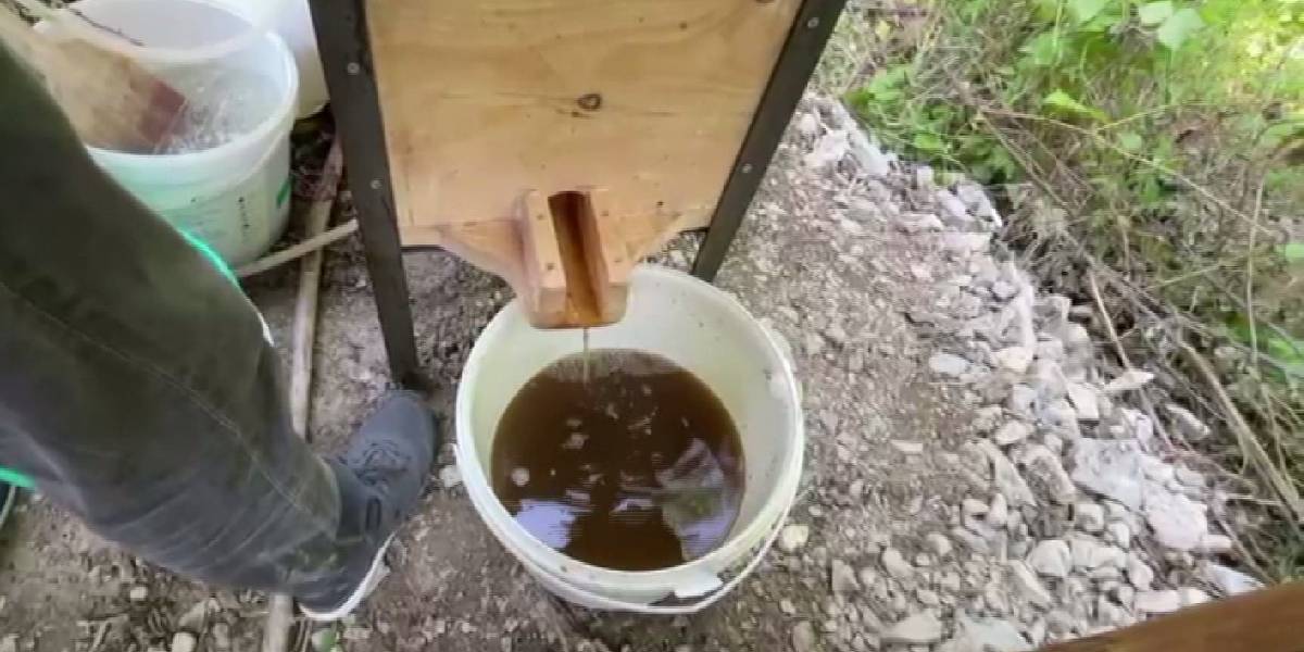 artvinde-dut-pekmezi-4