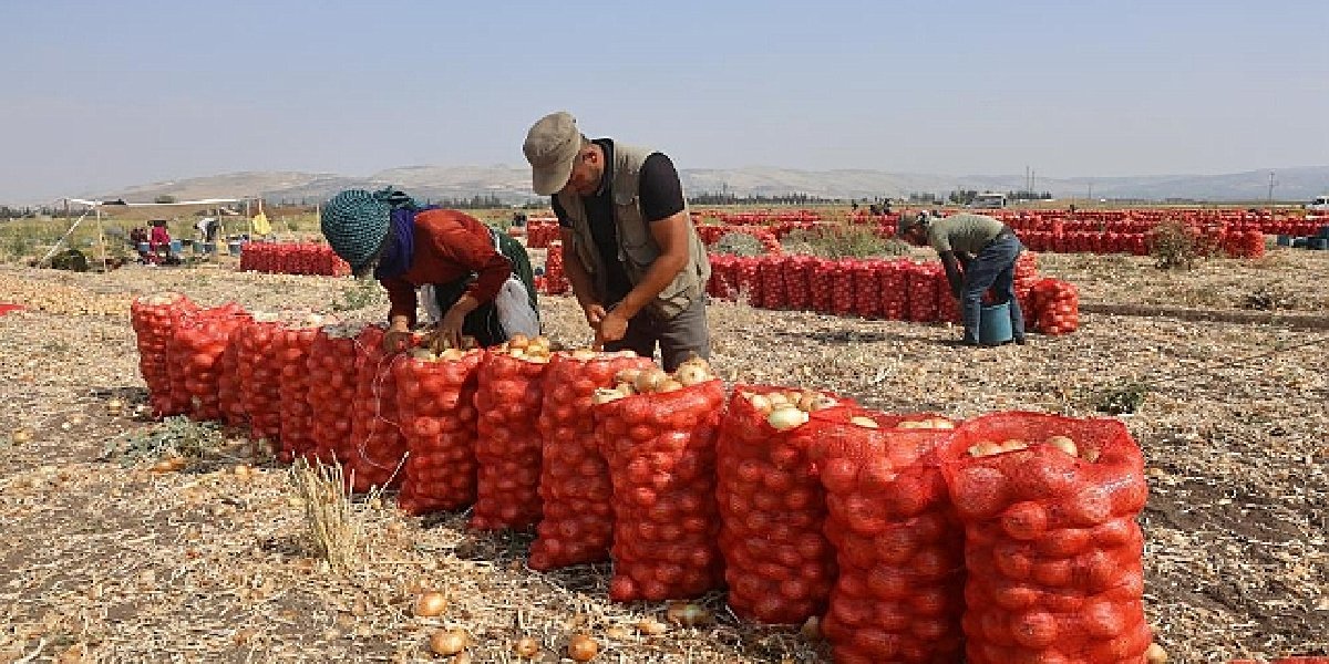 hatay-sogan-hasadi