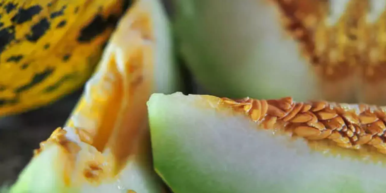 hjtxe-1689335504-9449