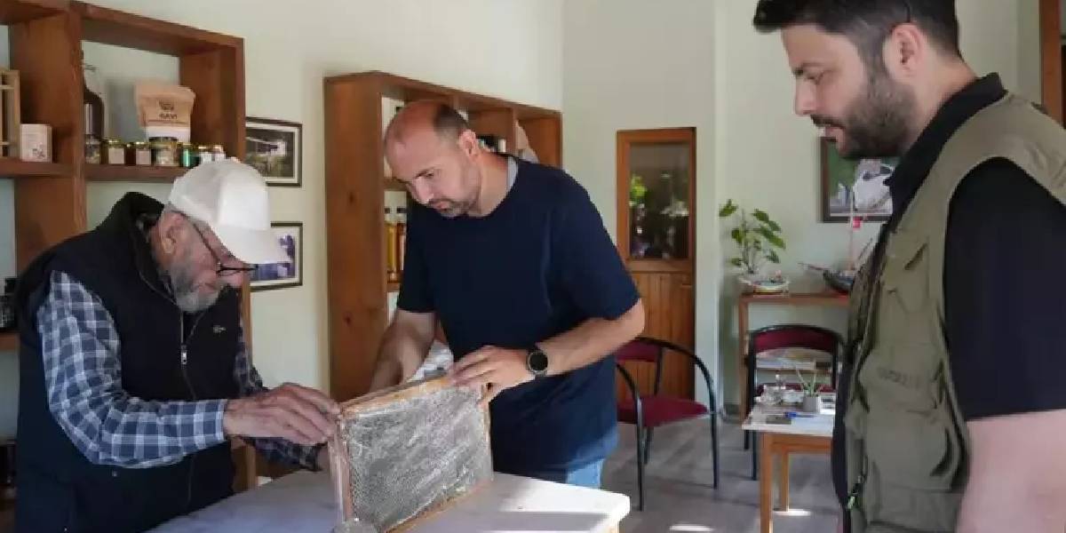 kastamonuda-deli-bal-uretimi-2