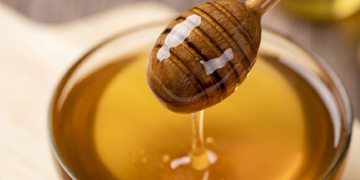 kastamonuda-deli-bal-uretimi-3