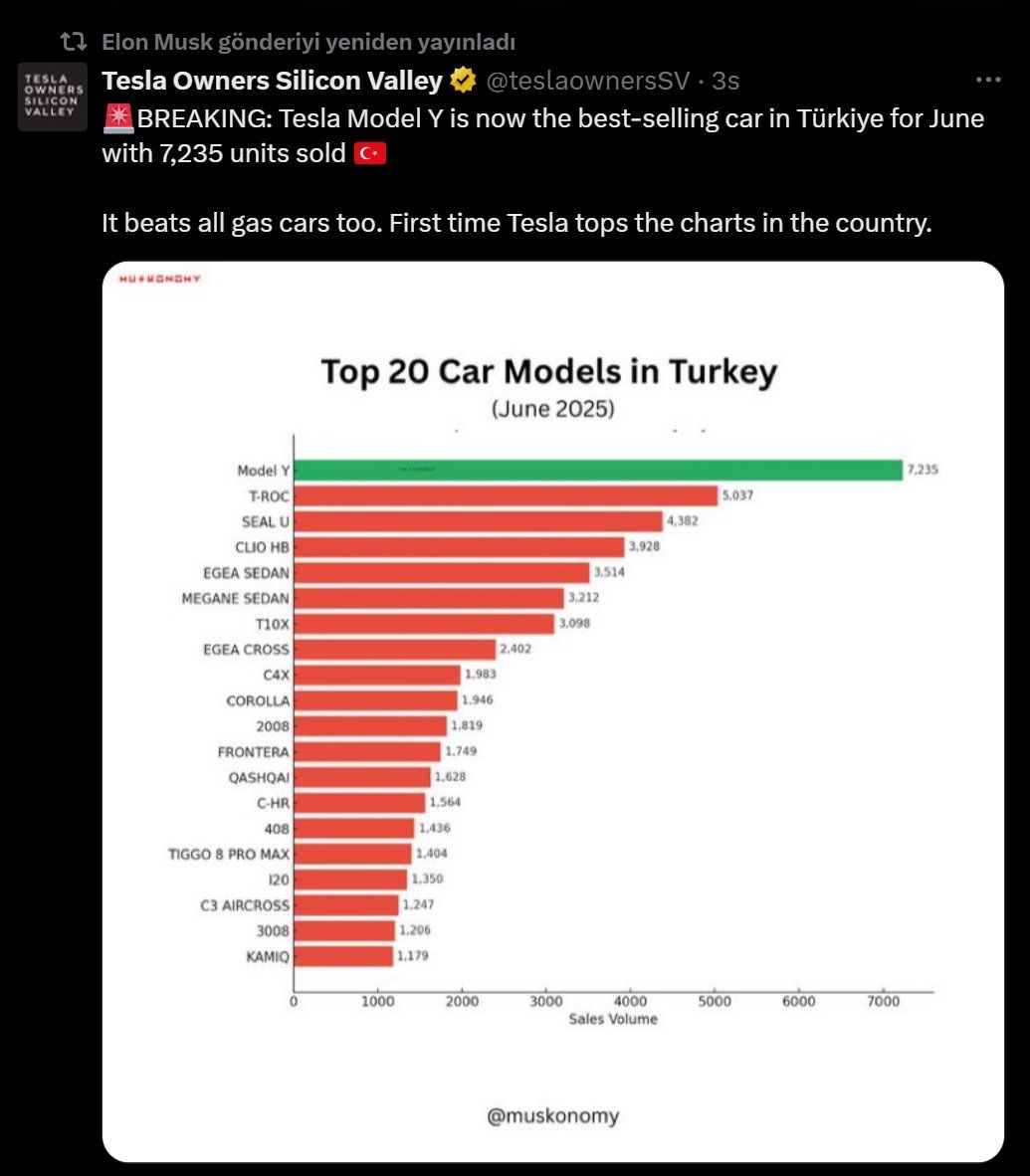 whatsapp-image-2025-07-03-at-17-45-24