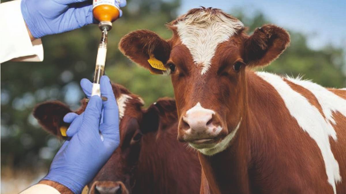 yeni-proje-2025-07-04t144812-267