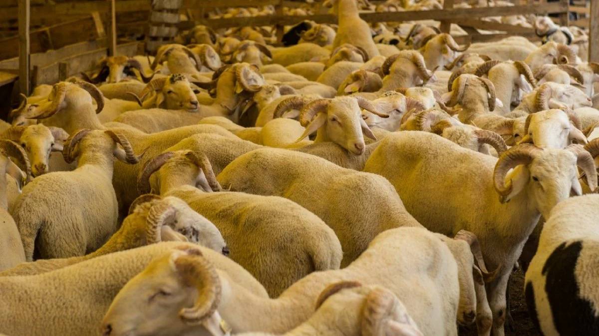 yeni-proje-2025-07-04t144850-865