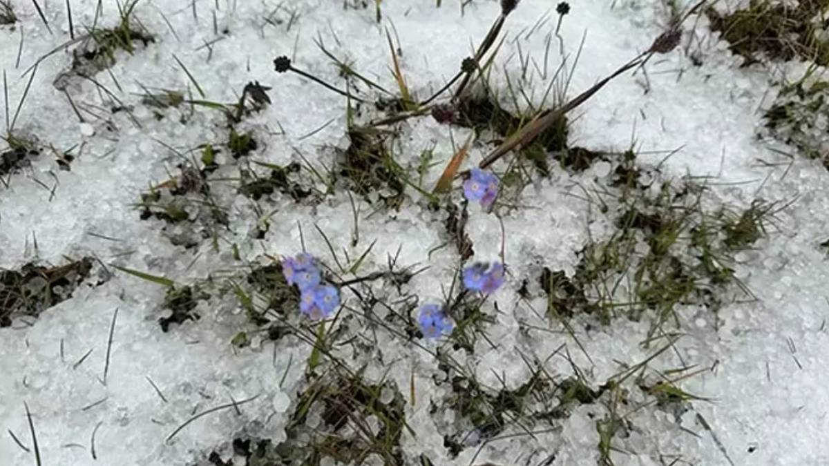 yeni-proje-2025-07-04t172518-964