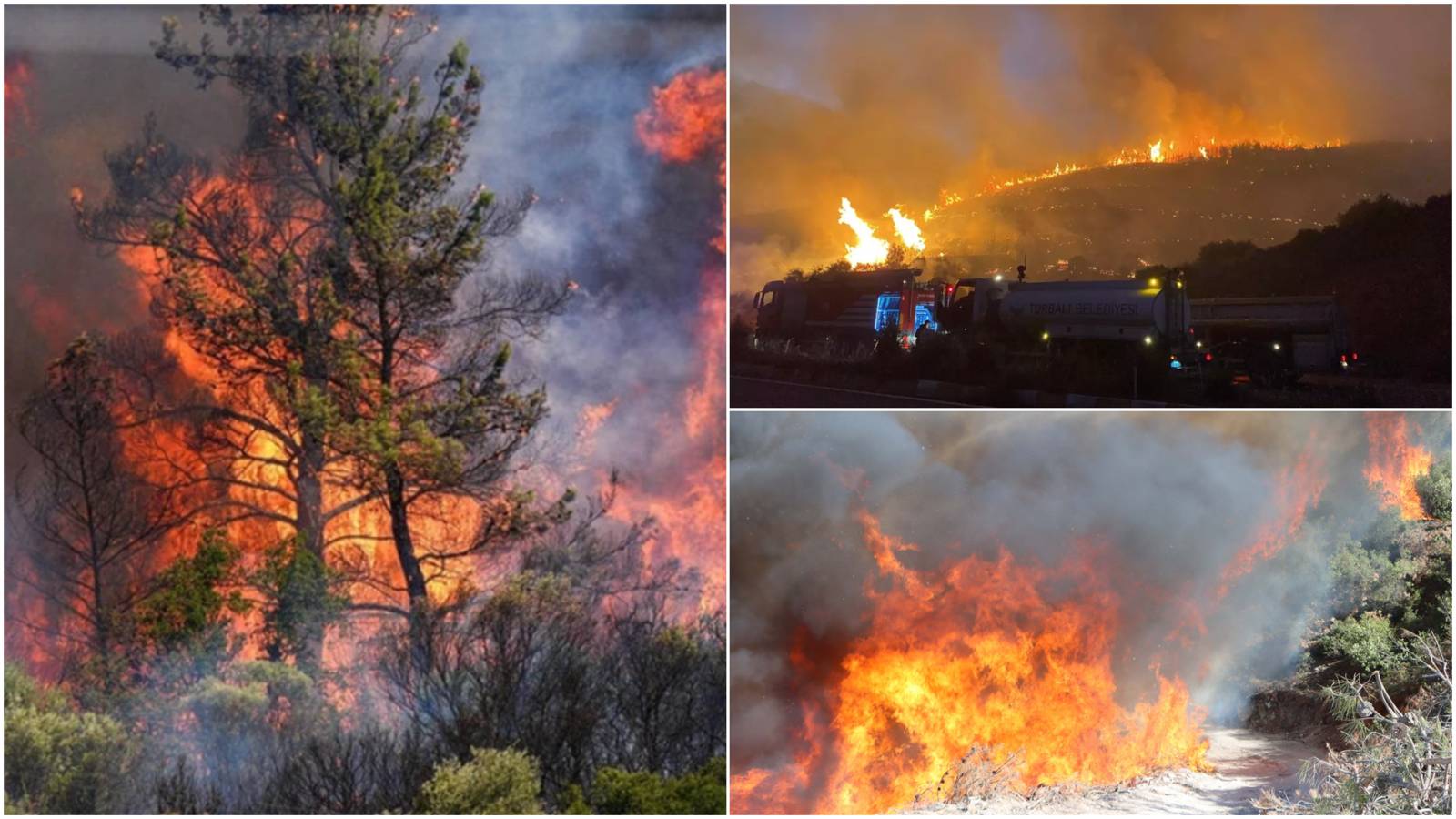 1751360949414-indir-54-1