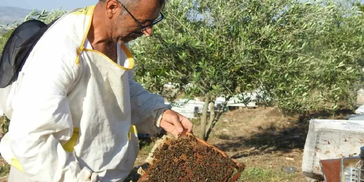 mehmet-ucar-bal.jpg