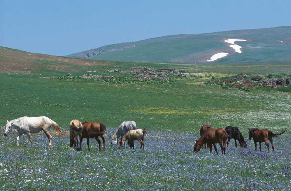 69aed38b-dad9-433f-8a79-87f89a9f50e7