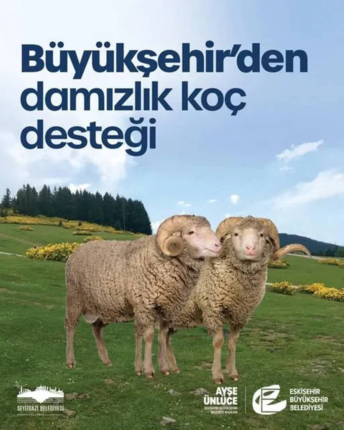 eskisehir-kucukbas-hayvan-destegi.jpg