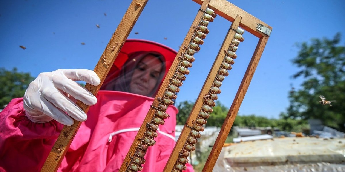 mehmet-durgut-ari-sutu