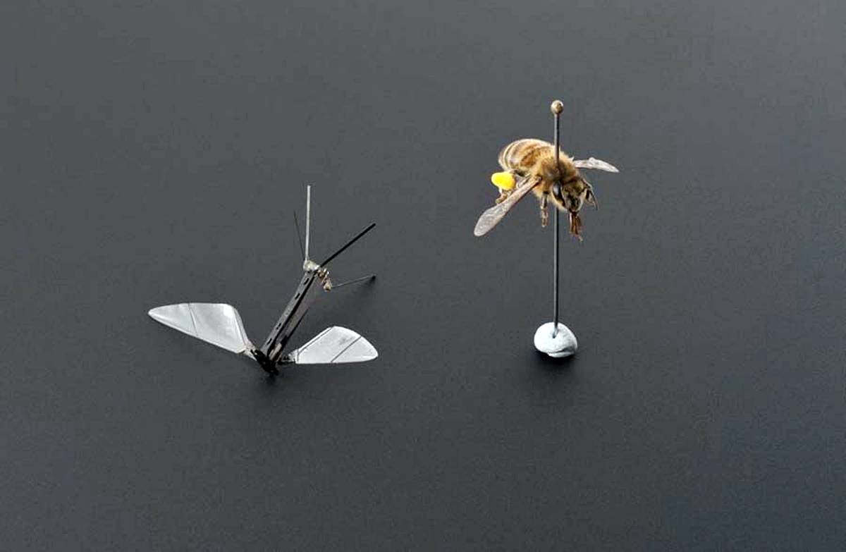 cin-nano-drone-uretti-sinek-buyuklugunde-2