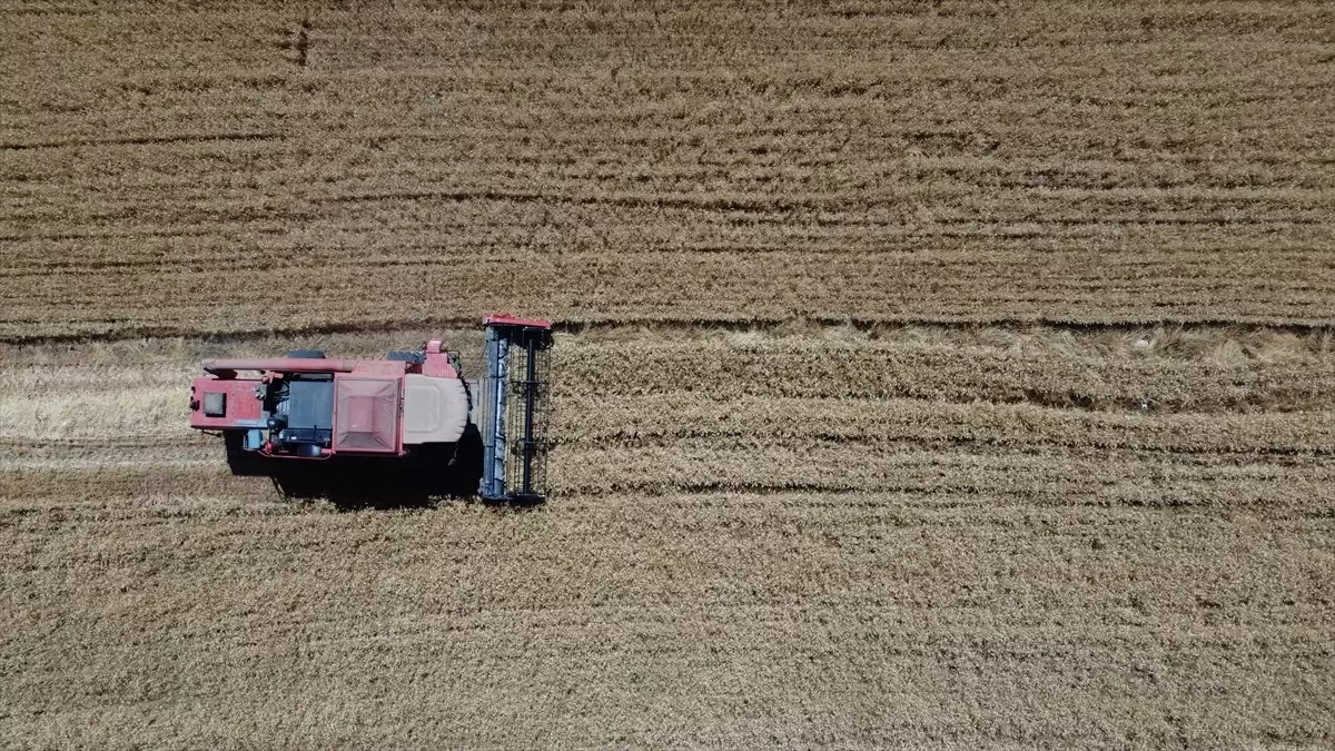 resim-2025-07-10-132238155