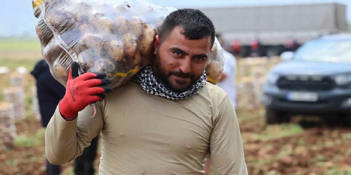 rustem-aldemir-patates-yukleyici