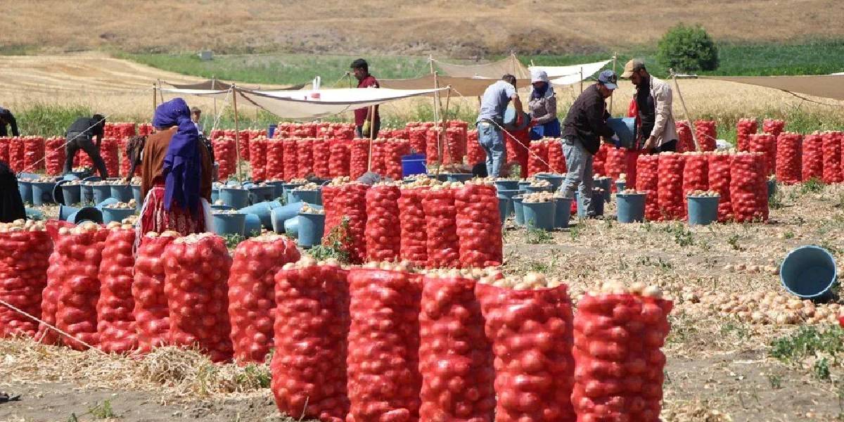 yeni-proje-18.jpg