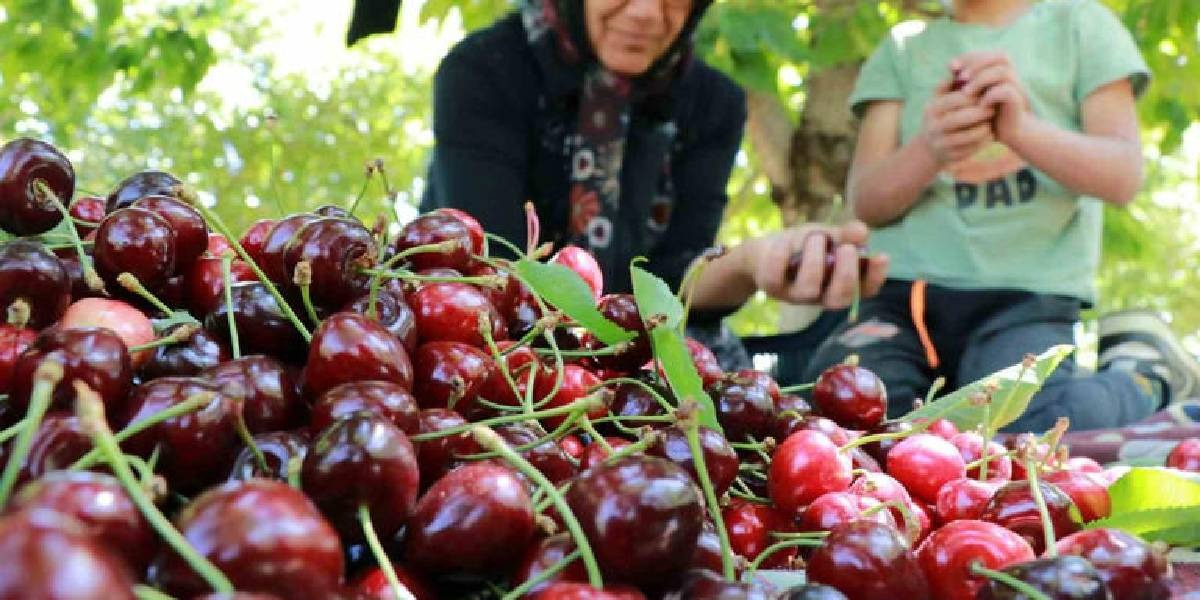 78de9340-a031-4fe7-aa6d-f9d3ca937985