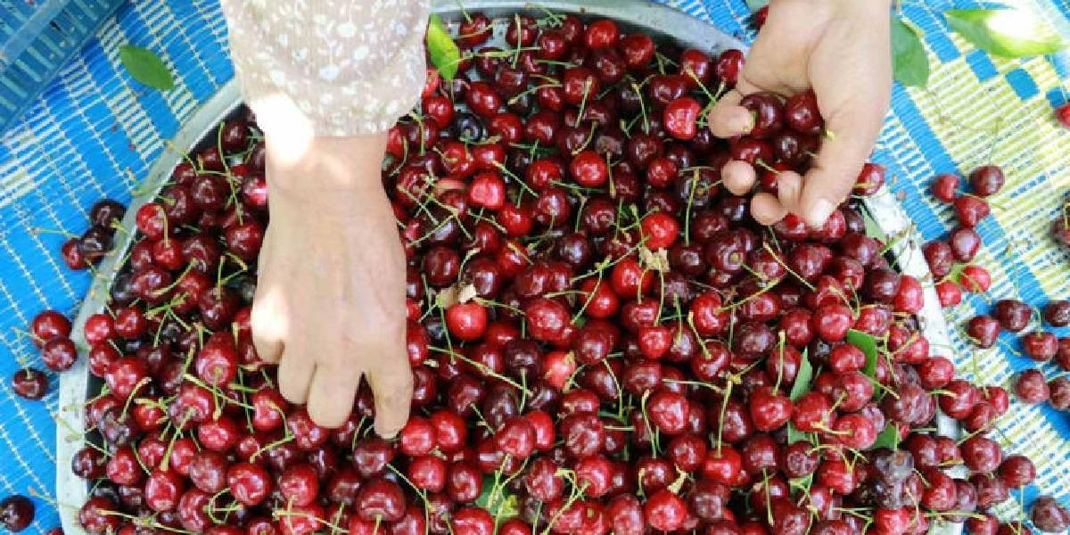 e2f25b51-a4b2-4086-aa62-0b02f8dd404d