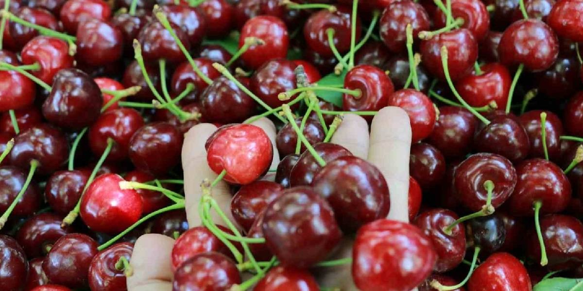 f9906ea5-7797-4cd8-a7b6-94531a658f66