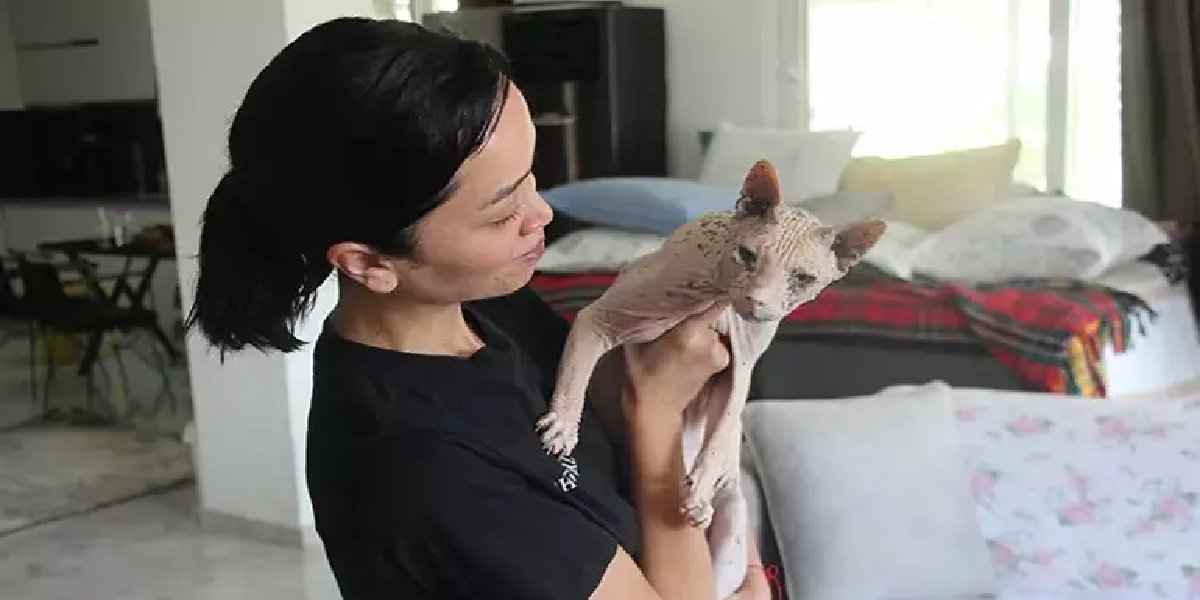 nilufer-mura-kayip-kedi