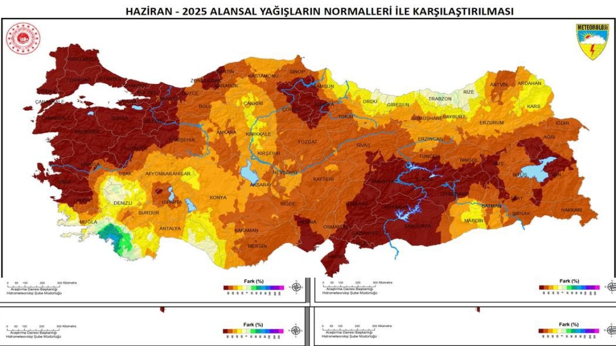 whatsapp-image-2025-07-11-at-23-33-08