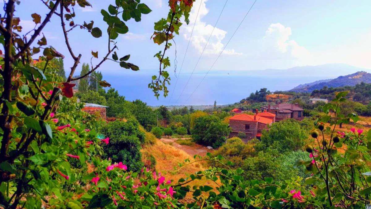 yeni-proje-2025-07-12t182233-020