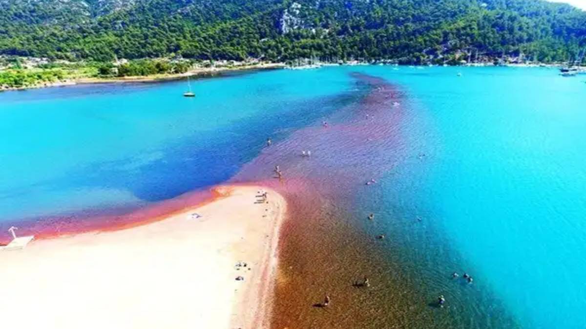 yeni-proje-2025-07-13t154615-665