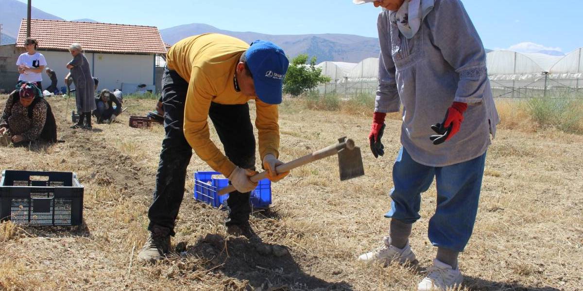 yeni-proje-11.jpg