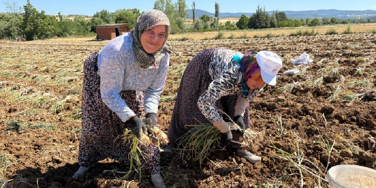 yeni-proje-23-003.jpg