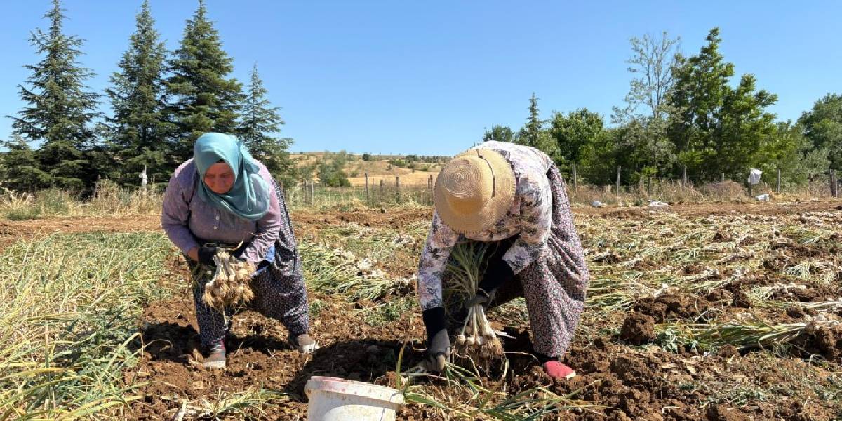 yeni-proje-25-002.jpg