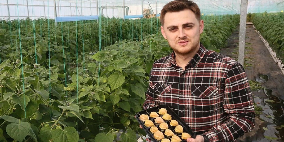 burak-akbulut-tropikal-meyve